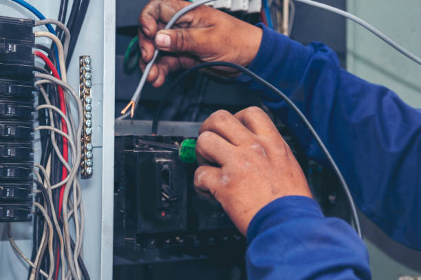 Best Electric Panel Repair  in Von Ormy, TX